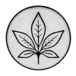 Ethnobotanik