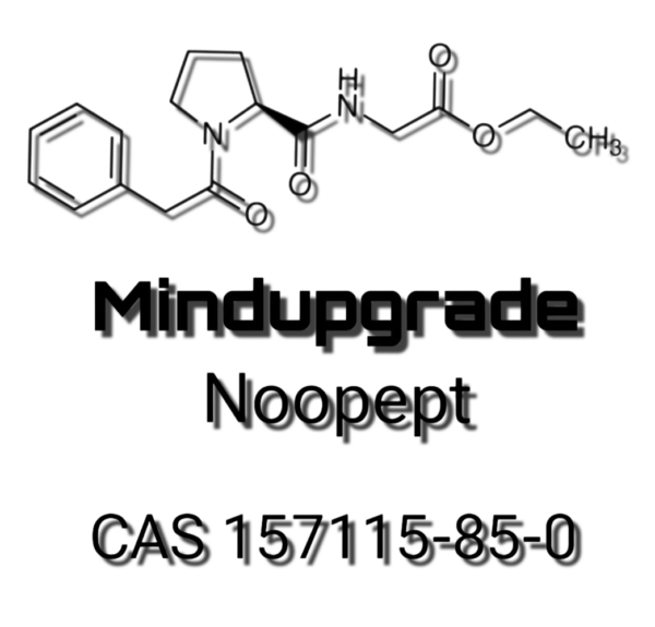 GVS111 -10g Pulver -Reinheit 99% - CAS 157115-85-0 -Für Forschungszwecke Noopept