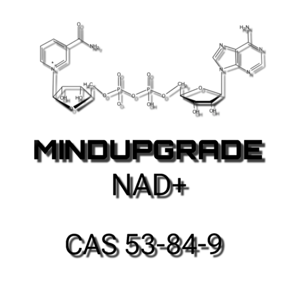 NAD+ Nicotinamid-adenin-dinukleotid - 20g Pulver - 99% - CAS 53-84-9 - Rohstoff
